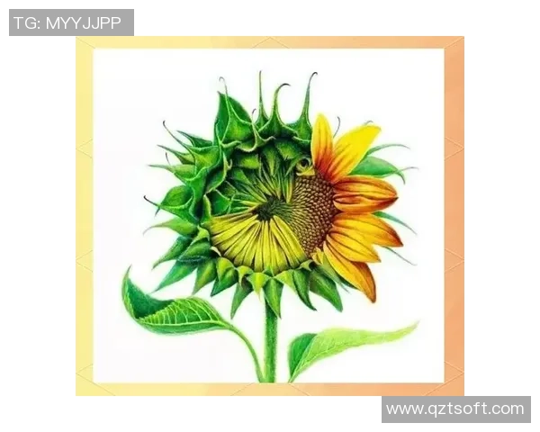 李敏独家分享篮球心得与技巧助你提升球技的全面指南